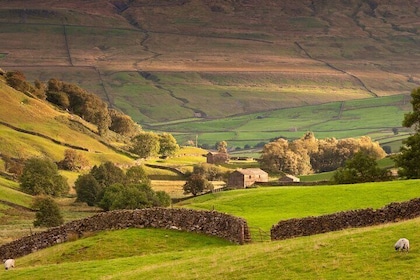 Private Day Tour in Yorkshire Dales, Fell, Valley and Castle