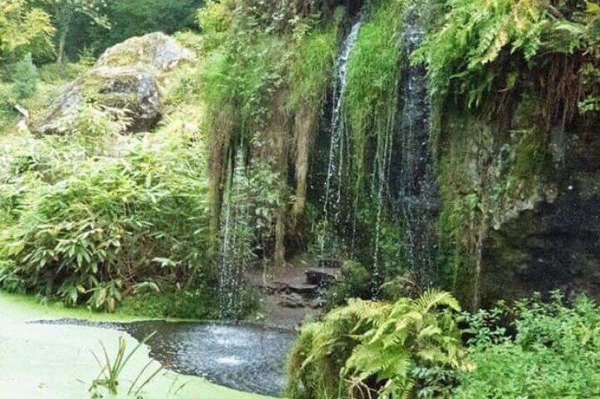 Blarney Castle, Cork City & Jameson Distillery Semi Private Tour