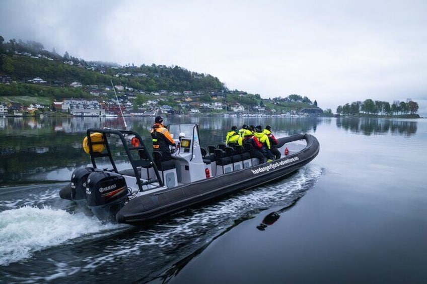 Scenic Hardangerfjord & Fyksesund RIB adventure from Norheimsund