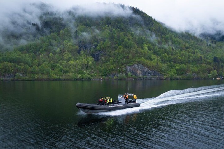 Scenic Hardangerfjord & Fyksesund RIB adventure from Norheimsund