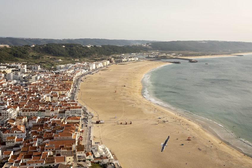 From Lisbon: Three Cities in One Day: Porto, Nazaré & Coimbra