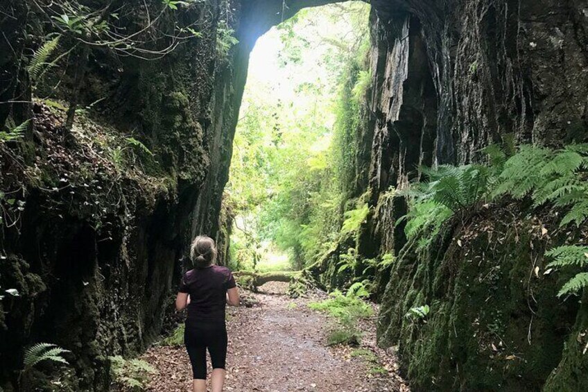 Our walk takes in the amazing woodland at Bláth na Gréine