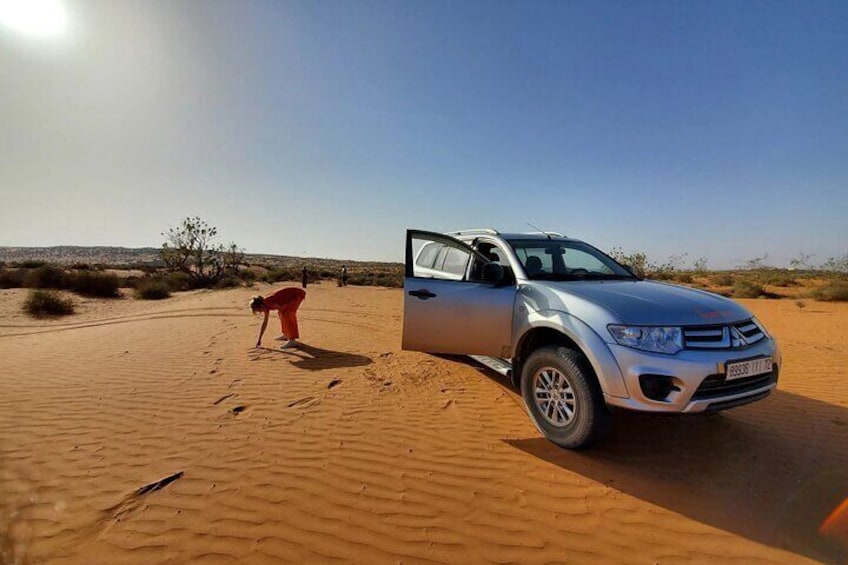 Sahara Day Trip from Agadir