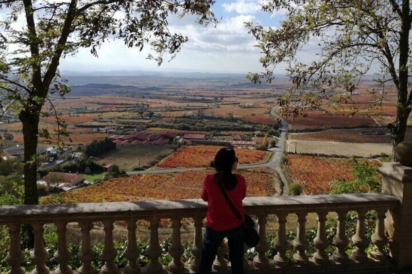 Private "The Unknown Rioja Wineries Experience" from San Sebastian