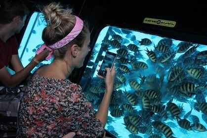 Semi Submarine - Hurghada