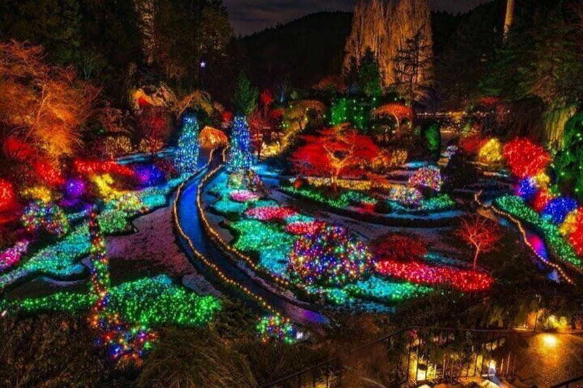 Magic of Christmas Butchart Gardens City Lights Private Tour