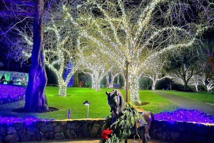 Magic of Christmas Butchart Gardens City Lights Private Tour