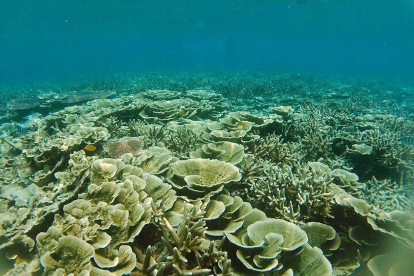 3 Days Tioman Island Package from Singapore (Private tour)