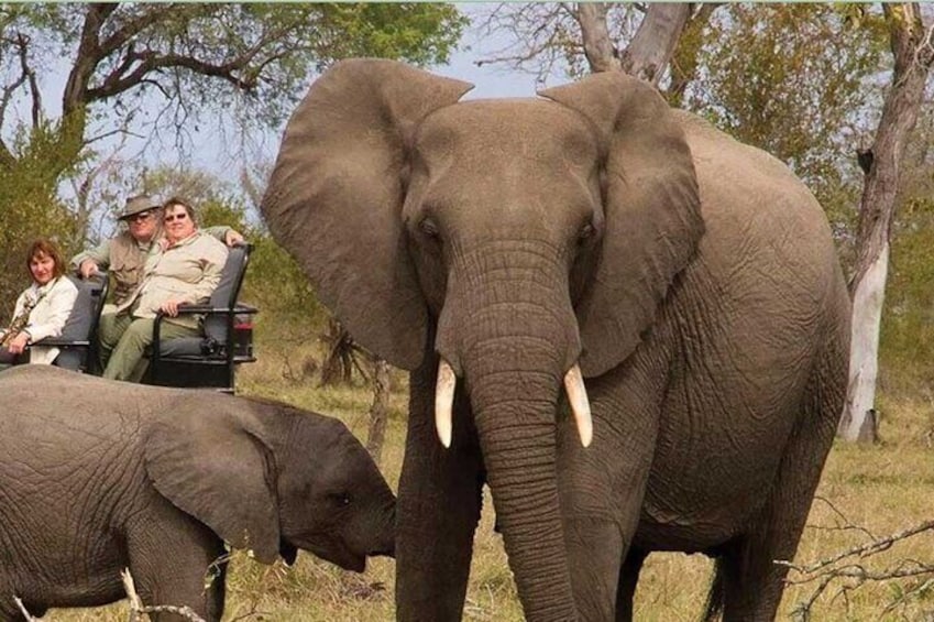 7 Days Tour -Isimangaliso, Hluhluwe and Drakensberg From Durban