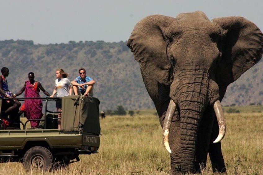 7 Days Safari - Isimangaliso, Hluhluwe & Drakensberg from Durban