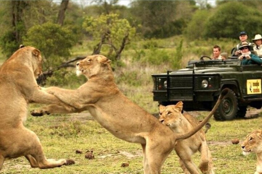 7 Days Tour -Isimangaliso, Hluhluwe and Drakensberg From Durban