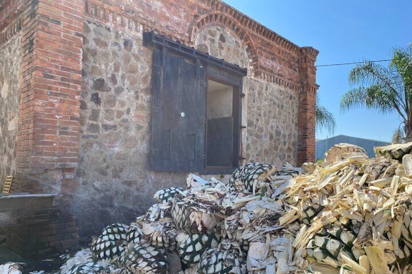 Half day Tequila tour visiting artisanal distillery and downtown.