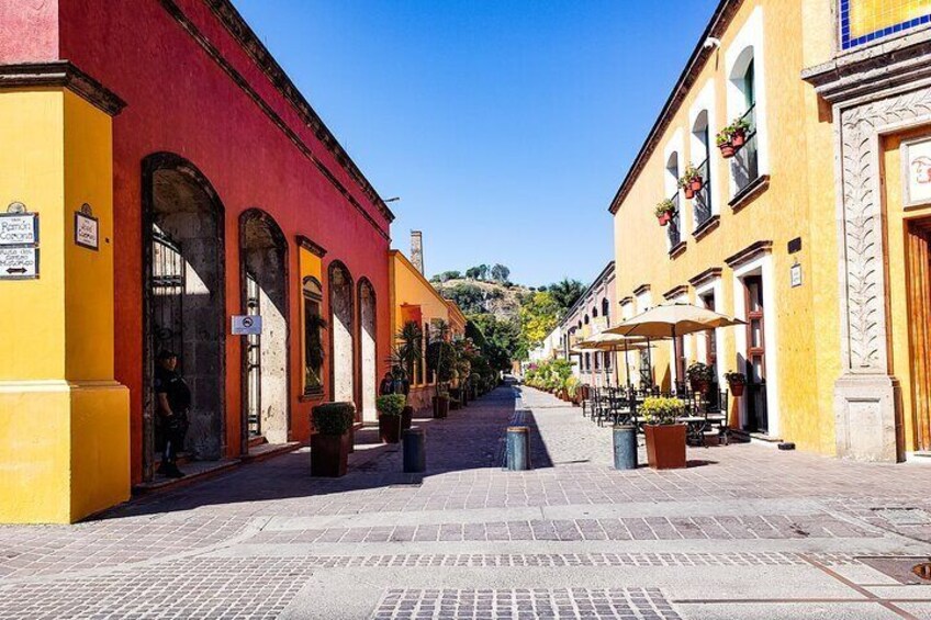 Half day Tequila tour visiting artisanal distillery and downtown.