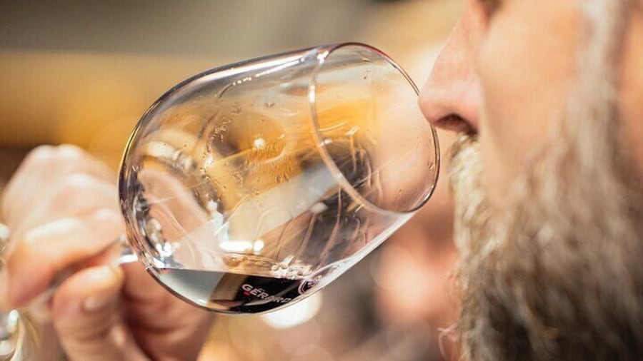 Sommelier Languedoc Wine Masterclass