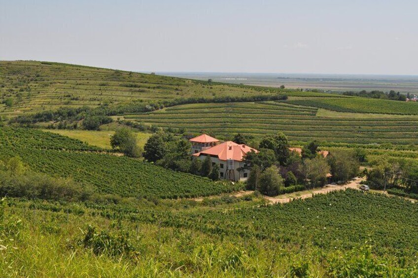 Private Romanian Wine Tasting in Urlați