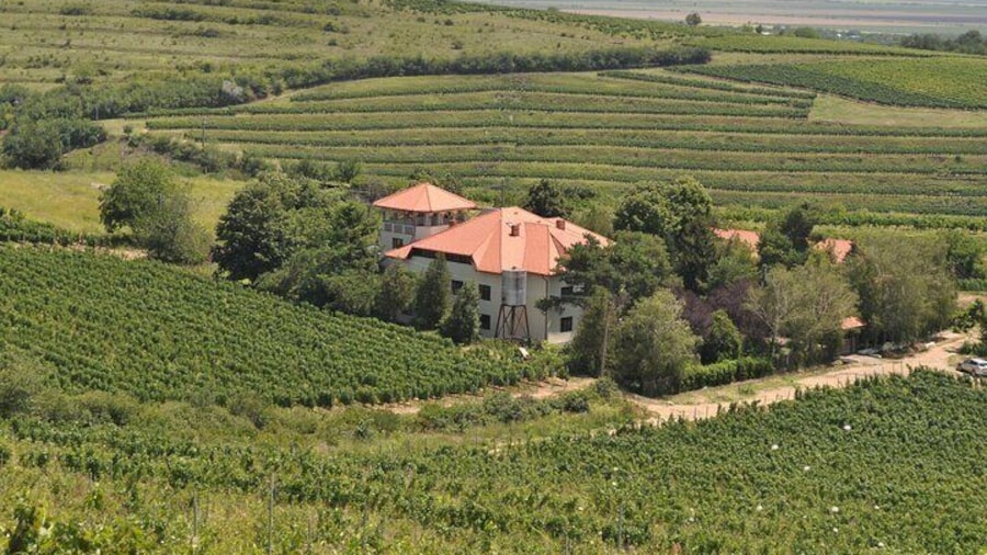 Private Romanian Wine Tasting in UrlatÌŠi