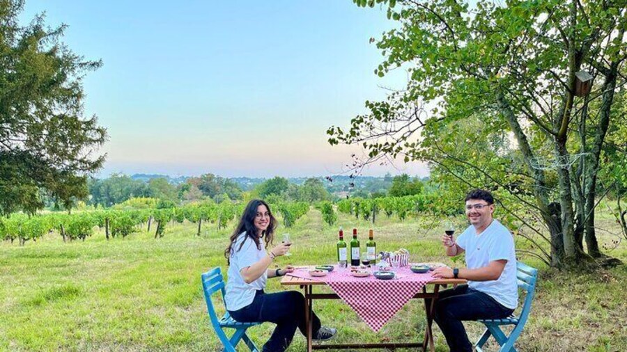 Visit of the Bordeaux vineyards in a 2cv, wine tasting and picnic
