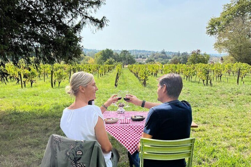 Guided vineyard tour in Bordeaux