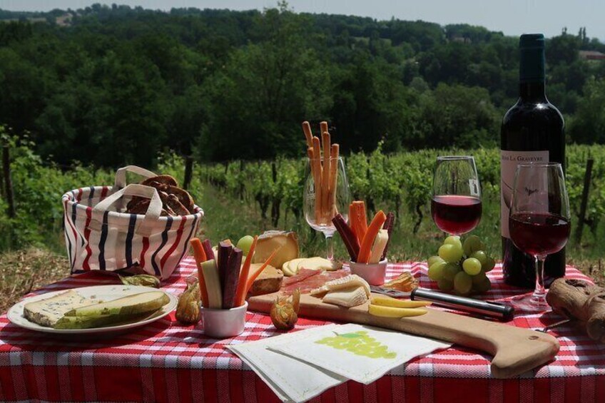 Picnic in the middle of the vineyards of the Bordeaux vineyards