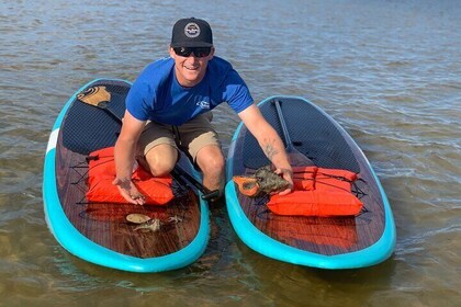 Delfin- och manatee-rundtur på Marco Island med kajak eller SUP