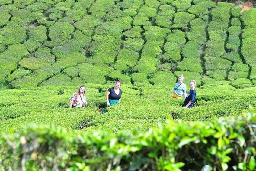 5-Days Private Kerala Tour with Sightseeing Tickets