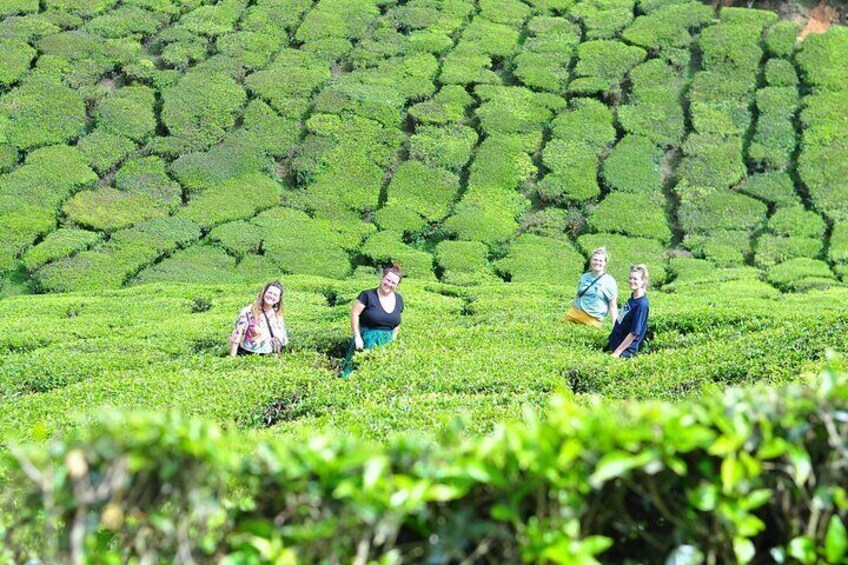 5-Days Private Kerala Tour with Sightseeing Tickets