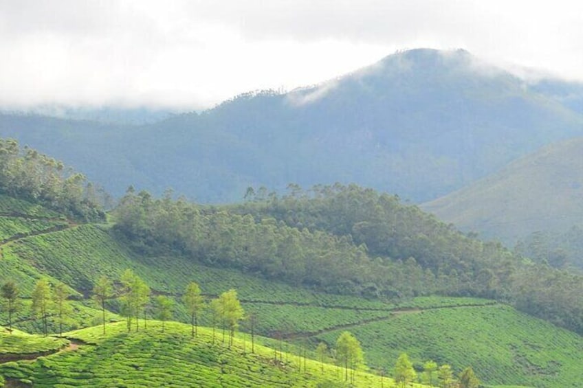 5-Days Private Kerala Tour with Sightseeing Tickets
