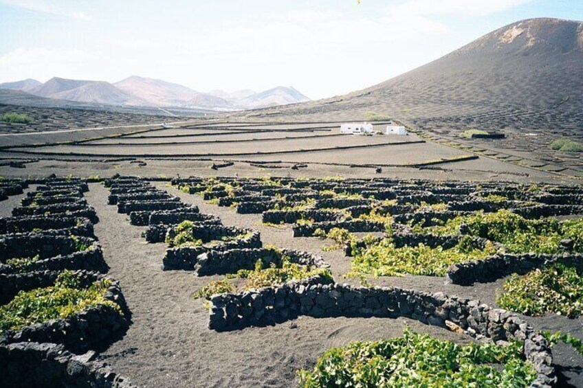 Tour to Timanfaya, La Gería and La Laguna Verde