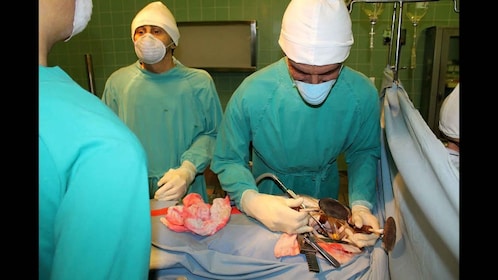 Cape Town: Heart of Cape Town Medical Museum Entrance Ticket