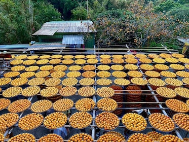 Hsinchu Sugar Culture and Dried Persimmon Experience from Taipei