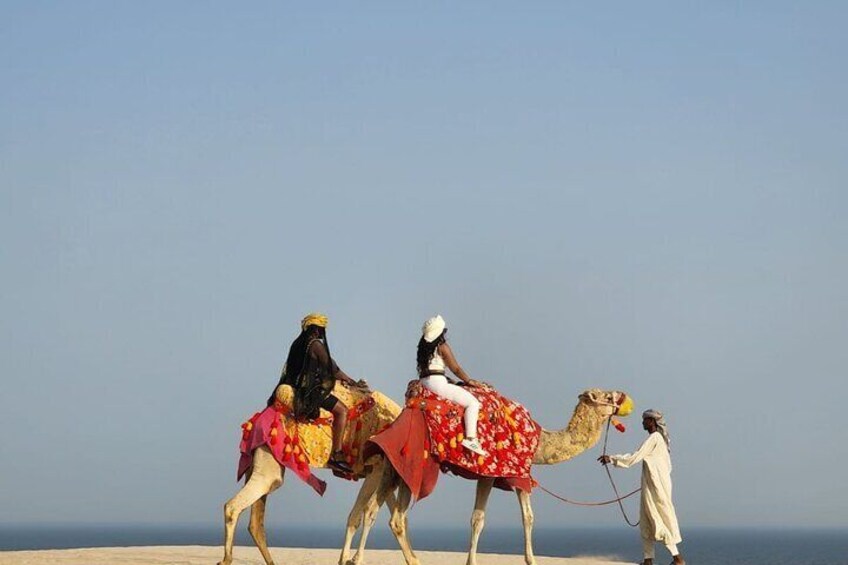  Premium Sunset Safari Tour from Doha: Sealine, Sand Dunes, and Beach