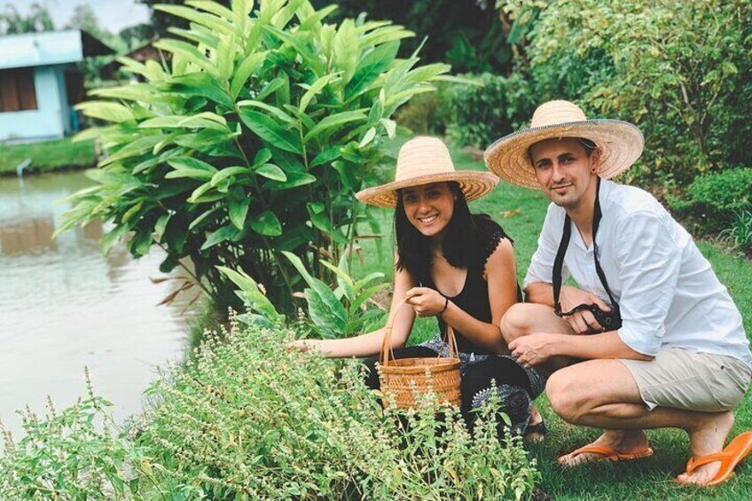 Cooking with Fresh Ingredients at Organic Farm with Local Market - Chiang Mai