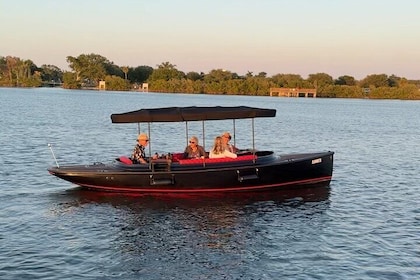Dolphin Boat Tour in Vero Beach