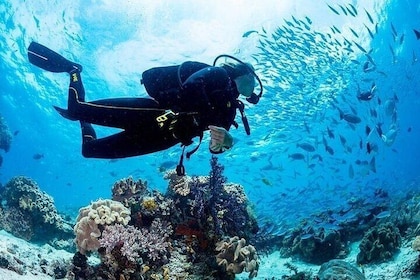 Hurghada Scuba Diving Heldagsbåttur för nybörjare med lunch och transfer