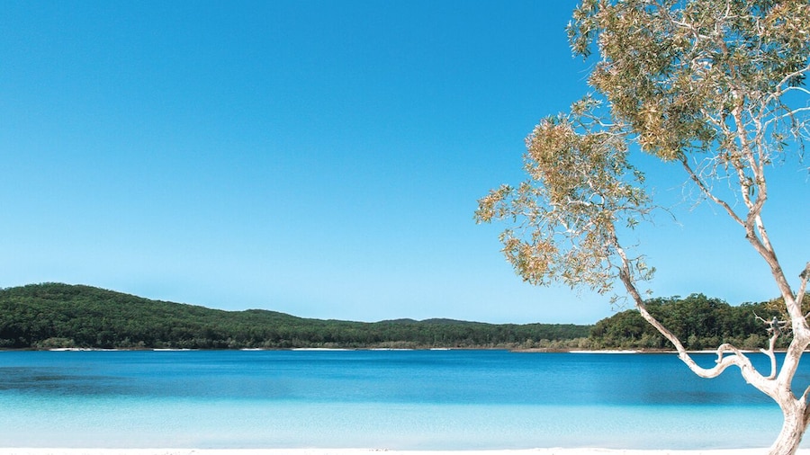 From Rainbow Beach: K'gari, Fraser Island Two-Day Coach Tour