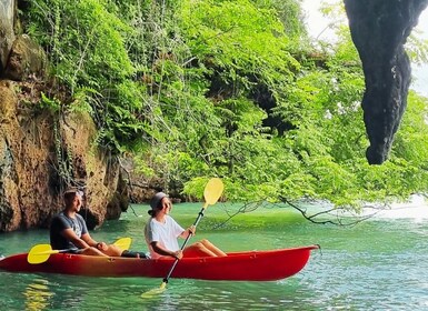 Ko Lanta: petite excursion privée en kayak dans la mangrove et la grotte ma...