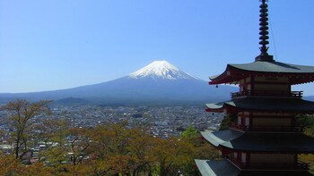 Private Mount Fuji Viewing Full-Day Tour with Hot Springs