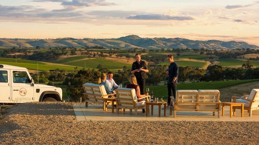 Barossa Valley: Two Hands 1.5-Hour Vineyard Tour