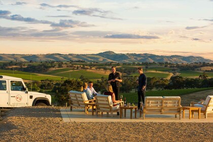 Barossa Valley: Two Hands 1,5 tunnin viinitilakierros.