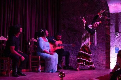 Barcelona: Palau Dalmasesin flamenco-show'ssa.