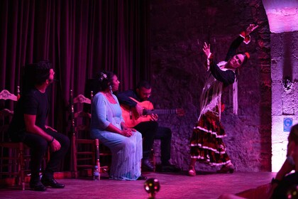 Barcelona: Flamenco Show at Palau Dalmases