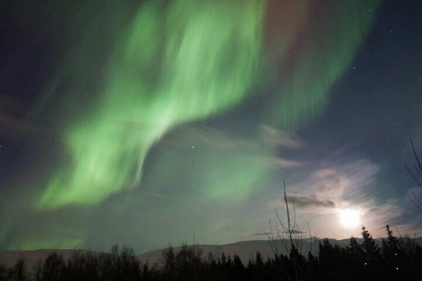 Northern Lights 4x4 Tour from Akureyri