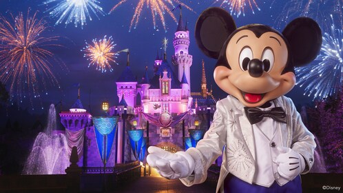 Disneyland® Resort-tickets (internationaal)