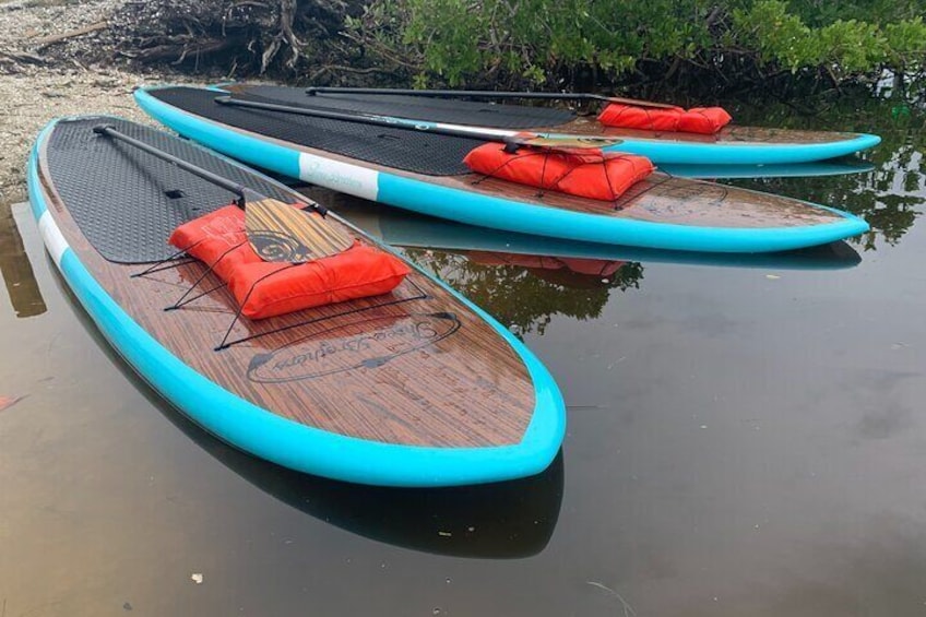 Sarasota has some of the best paddling in all of Florida!