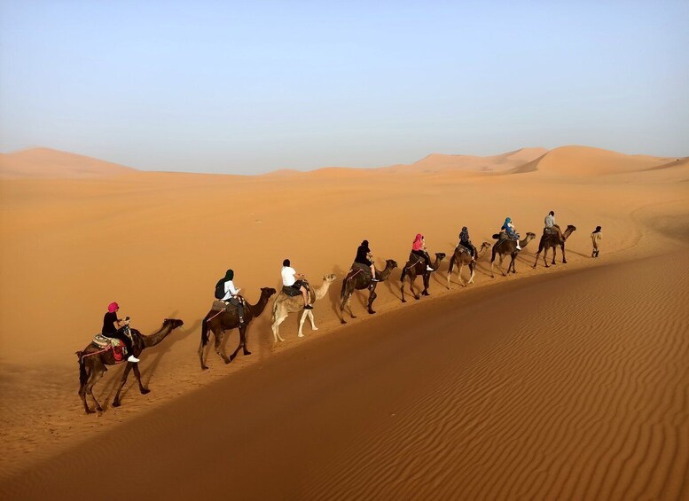 Picture 12 for Activity From Marrakech: 3-Day, 2-Night Sahara Desert Tour to Fes