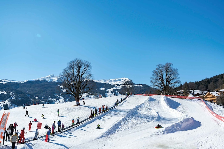 Picture 3 for Activity Grindelwald: Sledding and Tubing in Bodmi Arena