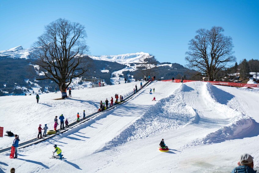 Picture 9 for Activity Grindelwald: Sledding and Tubing in Bodmi Arena