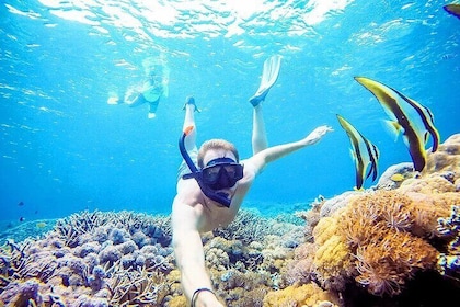 Snorkelling Nusa Penida and Island Tour Package