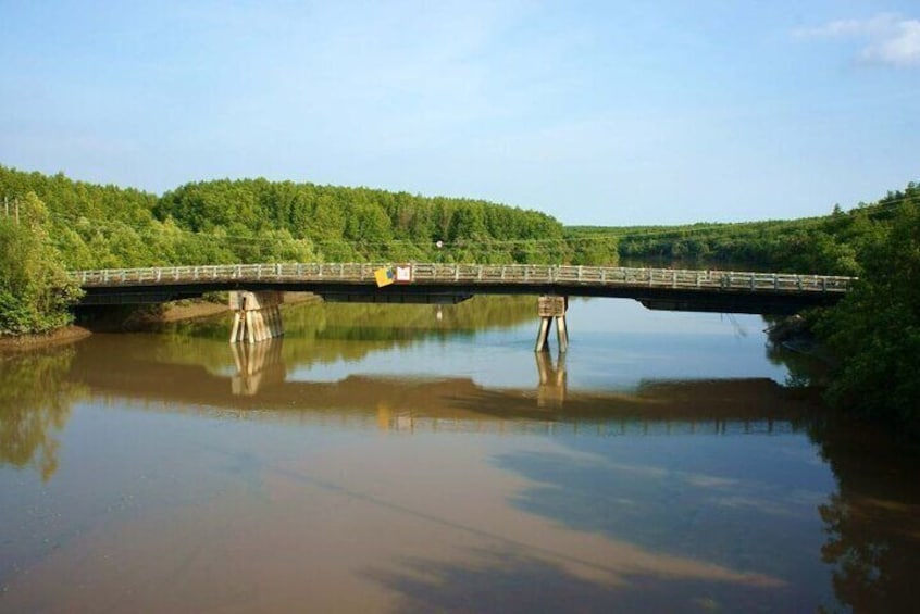 Vam Sat Mangrove Forest - VIP Private Tour from Ho Chi Minh City