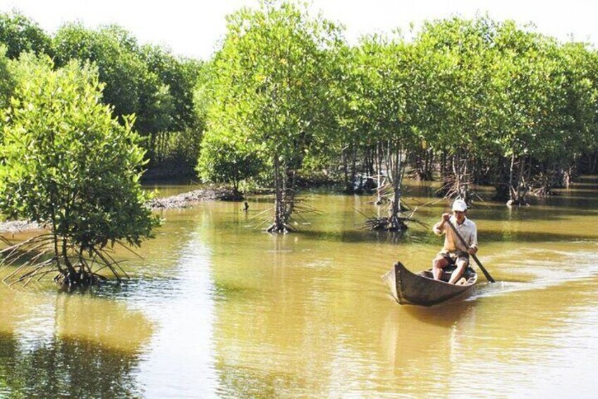 Vam Sat Mangrove Forest - VIP Private Tour from Ho Chi Minh City